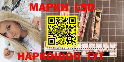 СК Краснознаменск