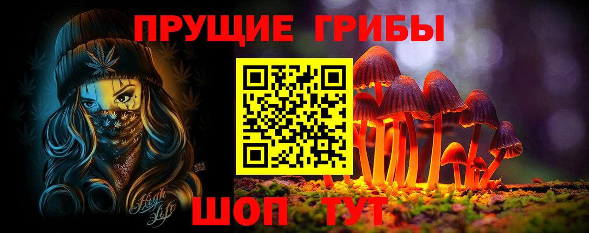 Галлюциногенные грибы мицелий  Псилоцибиновые грибы прущие грибы  Азов  Вход с VPN 
